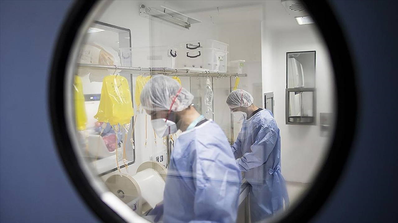 ‘Sağlık okuryazarlığı hastalıklardan korur’