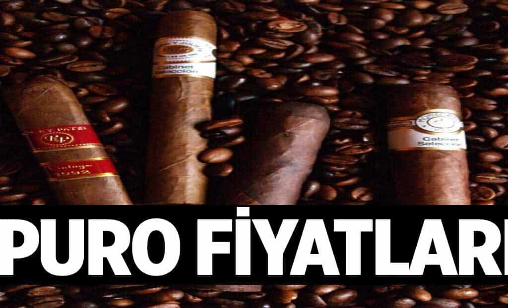 Puro Fiyatlari 1024x622UAy.jpg