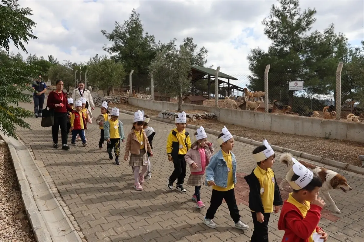 Dünya Hayvanları Koruma Günü Muğla’da Kutlandı