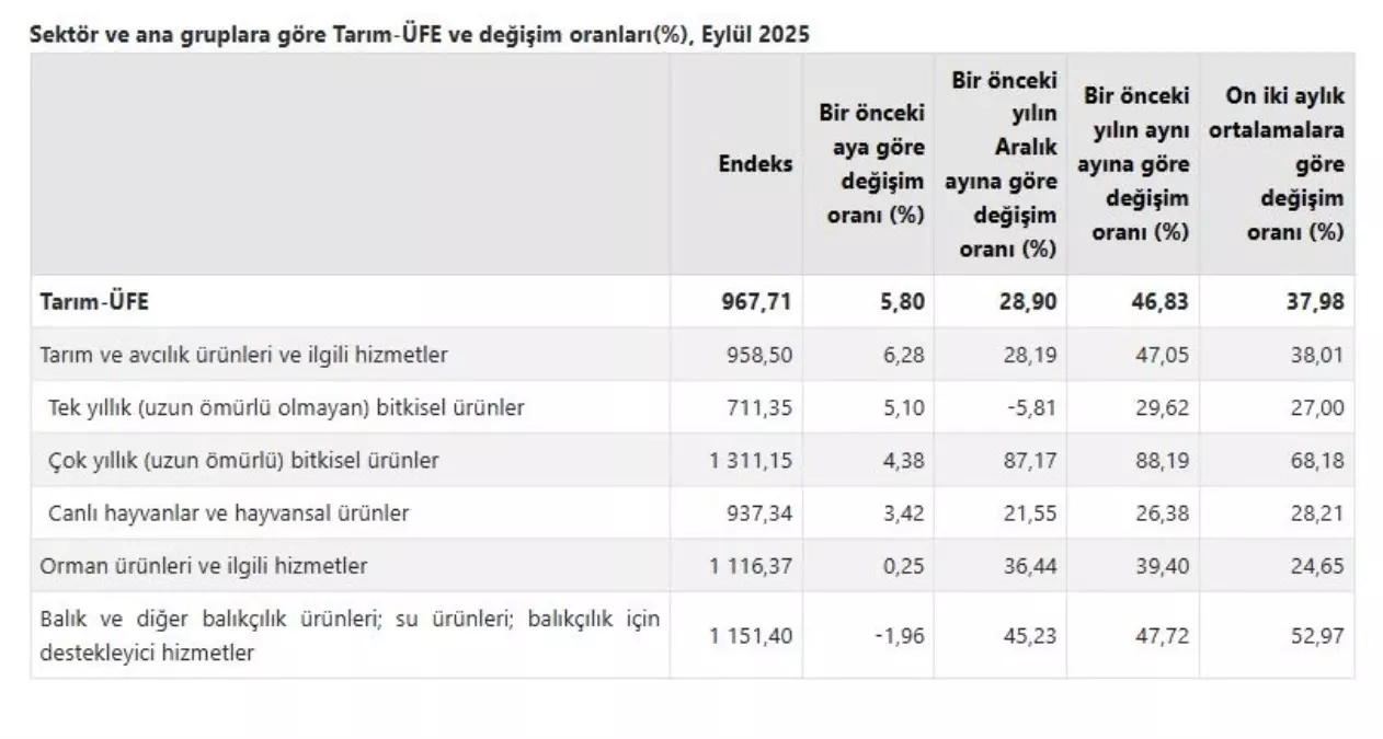 eylulde tarim urunleri fiyatlari yukseldi 7eBfWfqX.jpg