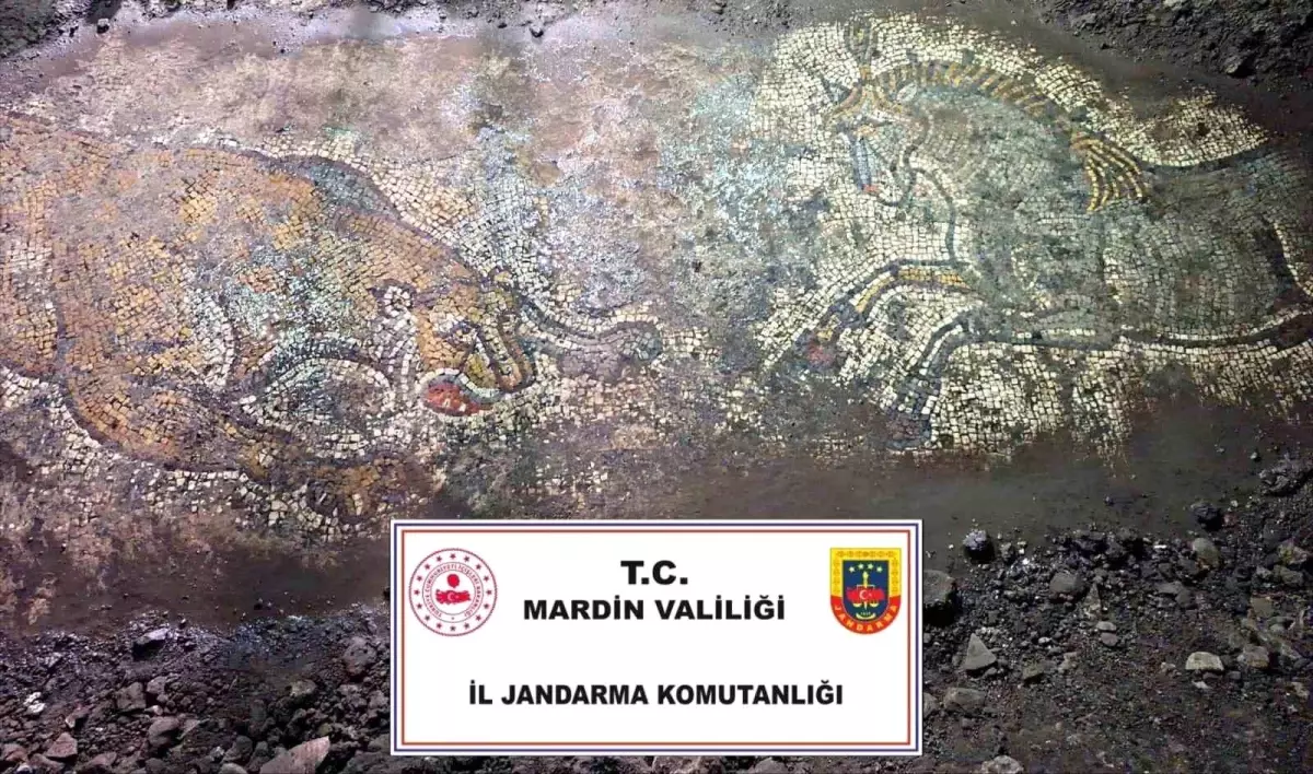 mardinde tarihi eser kacakciligina operasyon 1500 yillik mozaik bulundu ze4RyPHI.jpg