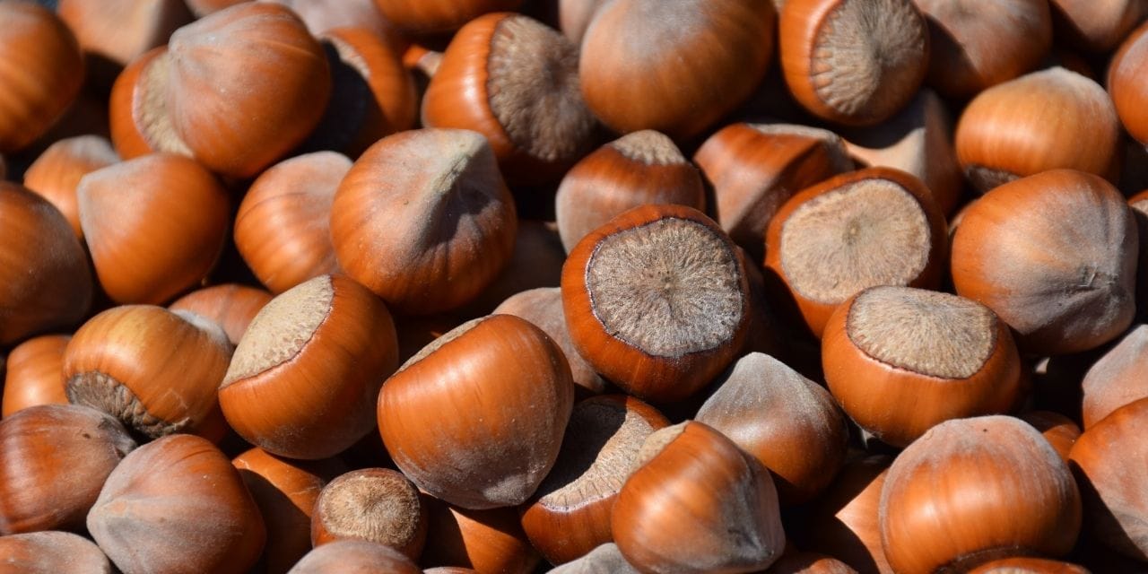 findik krizinde flas gelisme rekabet kurulu ferrero icin kararini verdi KOjIJWgV.jpg