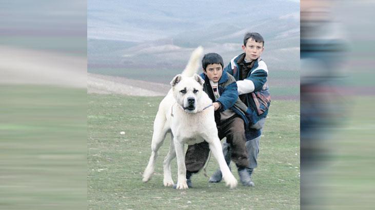 sivas ucretsiz erisime acildi ER8KjYbd.jpg