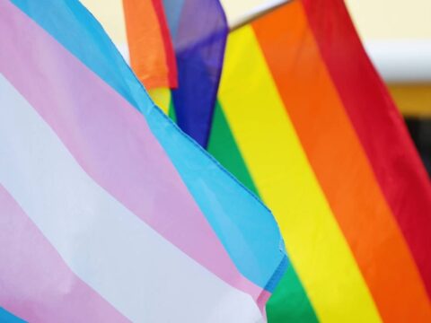 Türkiye Gazetesi duyurdu: LGBTİ+’lara hapis öngören taslak yeniden gündemde